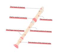 HANABASS Flûte à Bec Portable pour Garçon Fille et Débutants Instrument à Vent Rose pour École et Apprentissage Musical