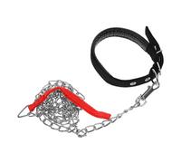 HANABASS Fournitures pour Animaux De Compagnie - Lot De 2 Colliers pour Chien Matériau Souple sans Danger pour Lanimal Tendance Et Léger pour Chiens De Petite Et Moyenne Taille