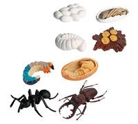 HANABASS Modèle de d'Insectes en Plastique pour Garçon et Filles Ensemble de 8 Fourmis Réalistes Jouet Éducatif Décoration de Chambre pour Comprendre Cycle de Vie