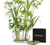 Hanataba Kenzan - Anneau Pique-fleurs « The Ring » - 12 cm