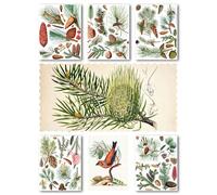 HANATABA Lot de 15 feuilles de papier pour découpage 20,3 x 27,9 cm Motif nouilles de pin Style vintage Pour découpage et scrapbooking