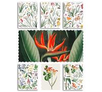 HANATABA Lot de stickers transparents pour fenêtre et miroir Motif fleurs sauvages Style vintage