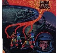 Hancock, Herbie - Flood Import, Original recording remastered Edition by Hancock, Herbie (1997) Audio CD