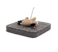 Hancool Tapis de feutrage à l'aiguille en laine naturelle - Accessoire de feutrage de base - 15,2 x 15,2 x 2,5 cm, gris, (WFP-DG-6)