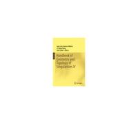 Handbook Of Geometry And Topology Of Singularities Iv