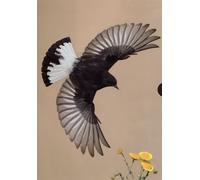 Handbook Of Western Palearctic Birds: Passerines