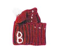 HandCrochet Chapeau pour animal de compagnie avec tour de cou réglable et motif dessin animé