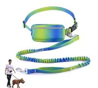 Hands Free Dog Leash with Zipper Pouch, Waist Leash for Dog Walking, Walking Pouch for Medium Large Dogs, Dual Handle and Retractable Bungee with Storage Pouch (Green and Blue)