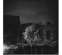 Hands In The Honey Jar Vinyle Cyan Foncé et Blanc