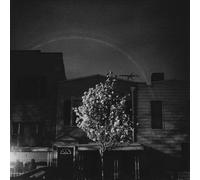 Hands In The Honey Jar Vinyle Cyan Foncé et Blanc