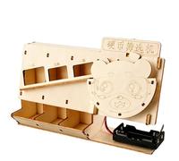 Hands on Physics Learning Wood Handcraft Coin Trier Kit de trieur de pièces éducatif pour les étudiants Science Experience Fun Kids Science Toy