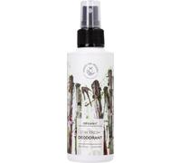 HANDS ON VEGGIES [Stay Fresh Bio DEO] Bamboo & Lavender 150ml