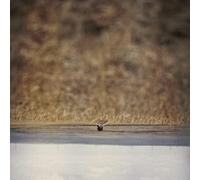 Hands That Bind (Original Motion Picture Soundtrack)