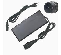 HANERIDE Chargeur de vélo électrique 36 V 4 A remplace Yamaha Chargeur pour batterie Intube E-Bike 500 Wh PASC9 (X1R-10)