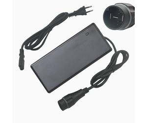 HANERIDE Chargeur de vélo électrique 36 V 4 A remplace Yamaha Chargeur pour batterie Intube E-Bike 500 Wh PASC9 (X1R-10)