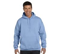 Hanes Chandail à Capuche en Coton épais pour Hommes, épais, Bleu Clair, M