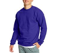 Hanes EcoSmart Fleece, Pullover Crewneck Sweatshirt, 1 Or 2 Pack Maillot de survêtement, Violet, L Homme