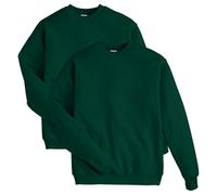 Hanes Men's EcoSmart Fleece Sweatshirt, Deep Forest, Medium (Pack of 2)