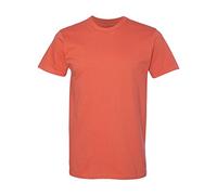 Hanes Men's Nano-T T-Shirt