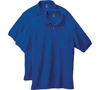 Hanes Men's Short Sleeve Jersey Pocket Polo, Deep Royal, 3X-Large (Pack of 2)