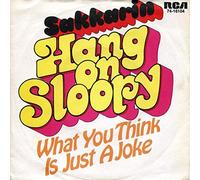 Hang On Sloopy [Vinyl Single 7'']