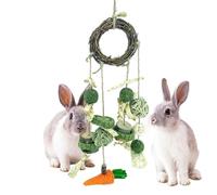 Hanges Jouet de lapin naturel fait à la main - Jouet pour oiseau - Dents saines pour lapins - Accessoire de cage en chinchilla