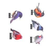 Hangsu Lot de 5 oiseaux décoratifs fabriqués à la main pour l'extérieur, jardin, clôture, cour, décoration d'oiseaux en fer