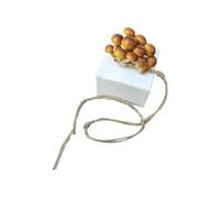 Hangsu Plateforme en forme de champignon pour reptiles - Grotte artificielle pour reptiles - Décoration magnétique flexible et sûre