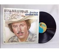 HANK WILLIAMS JR. - HANK WILLIAMS JR. - fourteen greatest hits MGM 5020 (LP vinyl record)