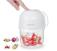 Hanmir Mini Hachoir à Aliments Électrique Portable avec Chargement USB (300 ml)