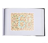 HanOaki Ishihara 2.03D Kit de test de cécité des couleurs avec 48 plaques de diagnostic pour une identification précise du déficit congénital de la vision en couleur rouge et vert en utilisation