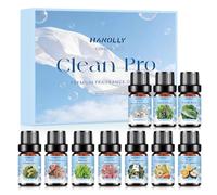 HANOLLY Kit Huiles Essentielles Fraîcheur 10x5ML | Huile Essentielle Naturelle Pour Diffuseur Aromathérapie, Massage, DIY Bougie, Spa, Idéal Cadeaux Faits Main pour Fêtes