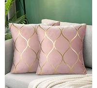 Hanrunsi Housse de Coussin Decoratif 45x45 Taies d'oreiller Décoratives Velours Coussins de Canapé Décoratifs Rose Lot de 2 Souples Dorées Housses de Coussin Décoratives Rose pour Lit de Salon