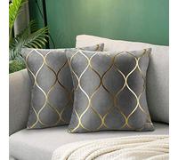 Hanrunsi Housses de Coussin Gris Velours 45x45cm Housses de Coussin Carrées Décoratives 2 Pack Housses de Coussin en Velours pour Canapé Coussins pour Canapé Lit Salon Décor a La Maison