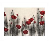 Hans Andkjaer (Red Poppies 60 x 80 cm Toile Imprimée