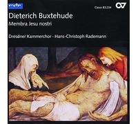 Hans-Christoph Rademann - Choral Cantatas