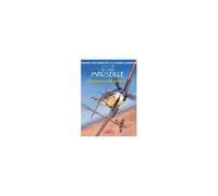 Hans-Joachim Marseille. La Estrella De África