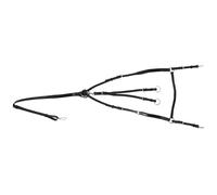 Hans Melzer Collier de chasse Bad Harzburg avec fourche de martingale amovible Cob/Full