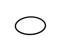 Hansa - 59911507 O-Ring 40,00 x 2,00