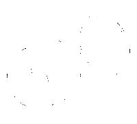 Hansa bague M50 x 2000 SW 45 59912980 M50x1, SW45