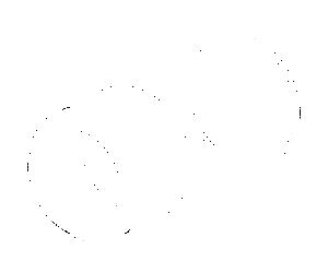 Hansa bague M50 x 2000 SW 45 59912980 M50x1, SW45