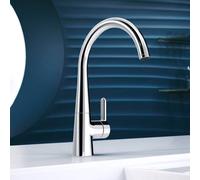 Hansa Designo Style Mitigeur de cuisine, basse pression, pivotant, 51021183,