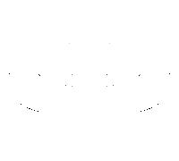 Hansa écrou de centrage 59912023 M24 x 2000