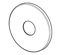 HANSA Hansa HA douche à rosace d:170 mm 59914424 Quantité:1