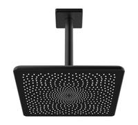 HANSA Hansa HANSAAURELIA Pomme de douche plafond, noir mat Quantité:1