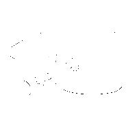 Hansa levier Pinto chromé 59914453 59914453