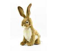 Hansa Lièvre 30 Cmh