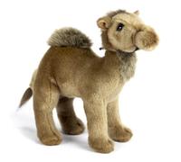 Dromadaire Bebe 21cm peluche Multicolore G