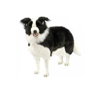 Hansa Peluche Géante Border Colley 4 Pattes 84cml