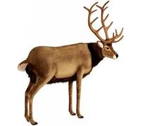 Peluche Cerf 100 Cm Anima
